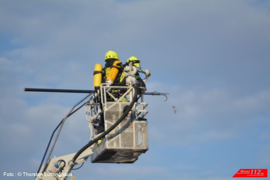 20160806_192040_TL_Mommenheim_B3_Gaustrasse_30-1024x683