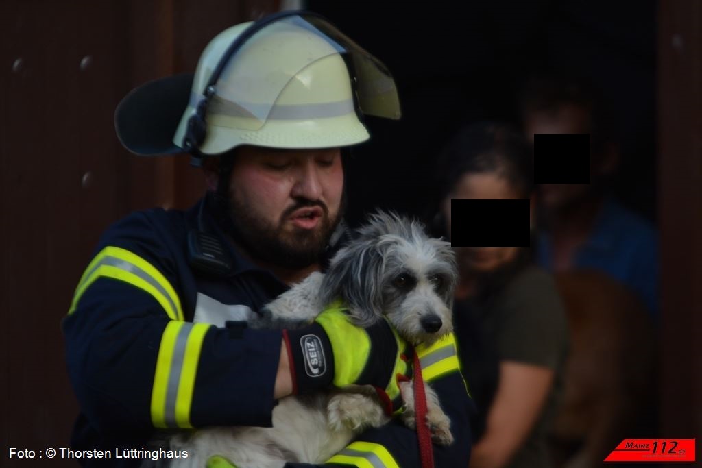 20160806_192455_TL_Mommenheim_B3_Gaustrasse_30-1024x683