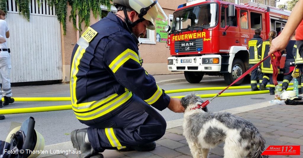 20160806_192756_TL_Mommenheim_B3_Gaustrasse_30-1024x535