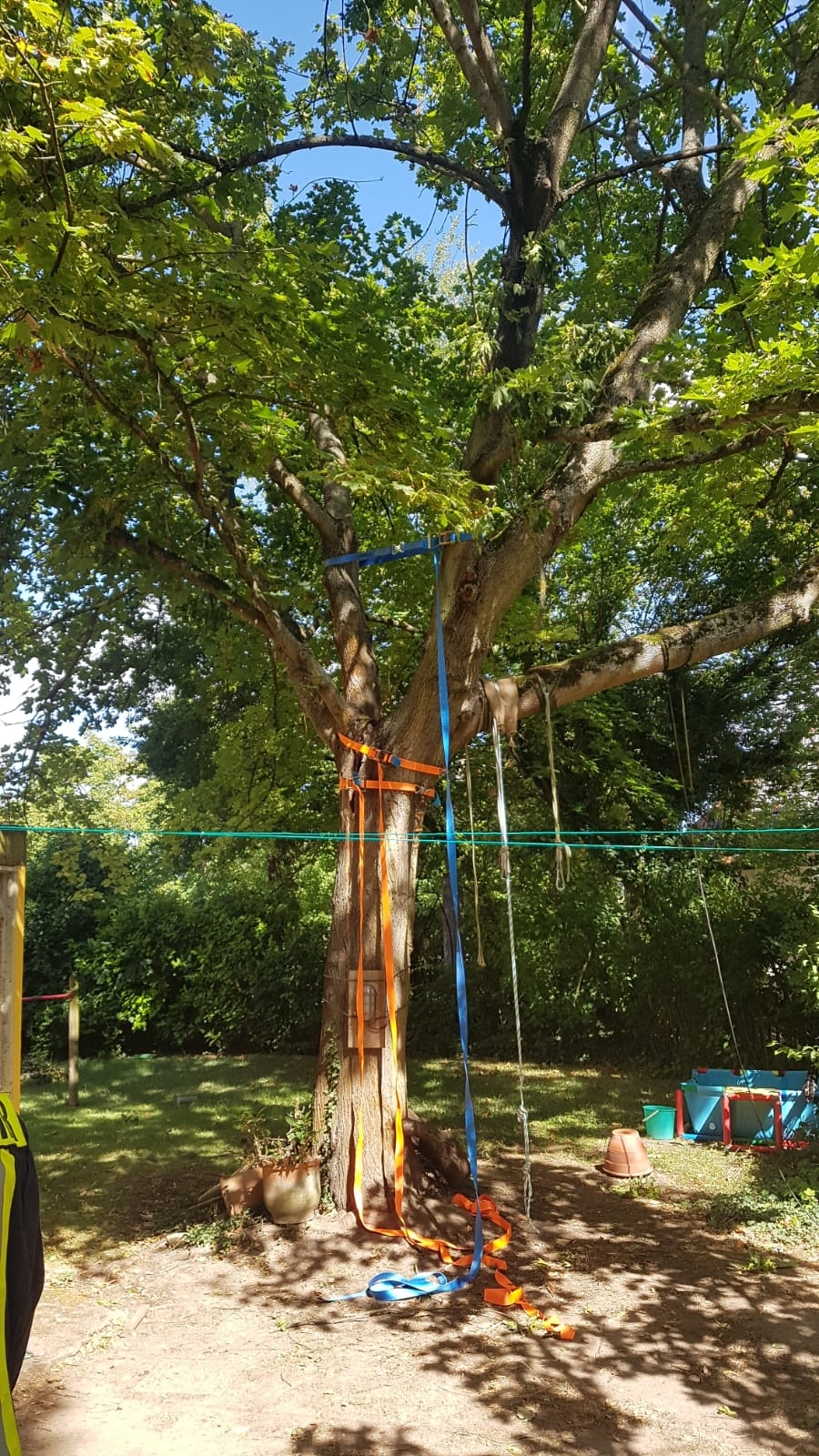 H1 Baum droht umzustürzen 01 2018-08-11